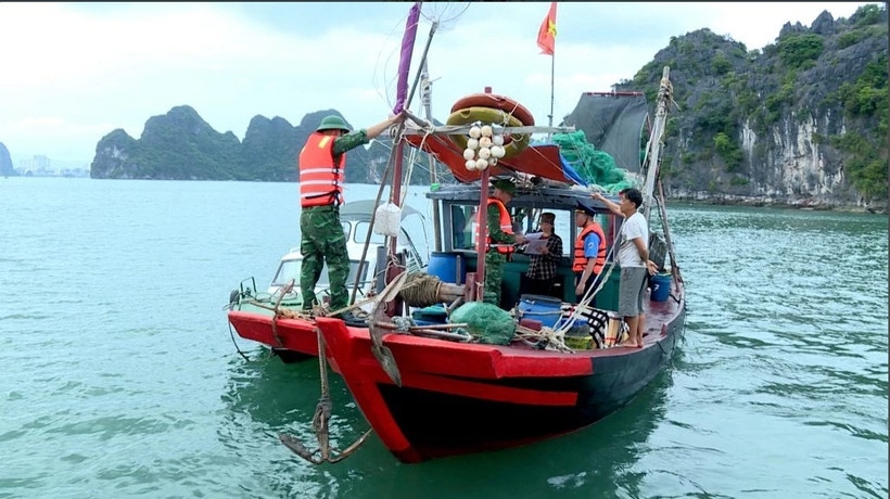 Quang Ninh province strengthens fishing vessel controls